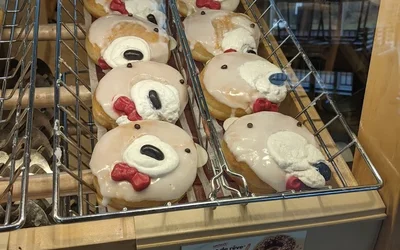Top 10 donuts in Gatineau