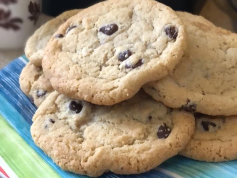 Healthy Creations Inc.