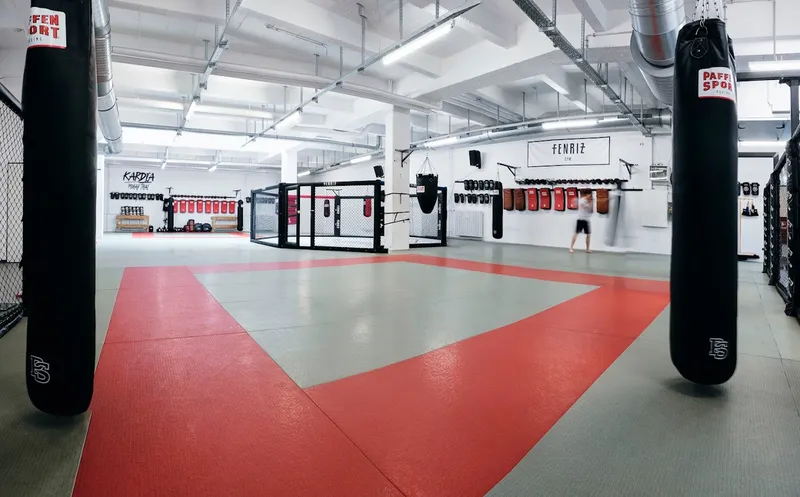 Fenriz Gym I MMA, Muay Thai, Boxing, Brazilian Jiu-Jitsu, Wrestling