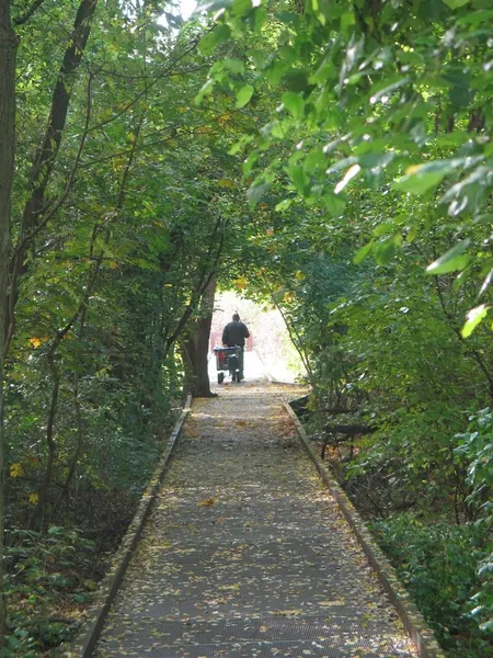 Natur Park Südgelände