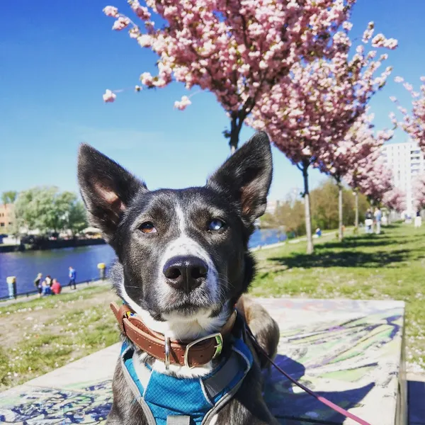 Park an der Spree