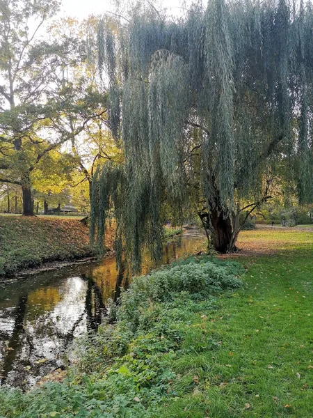 Bürgerpark Pankow