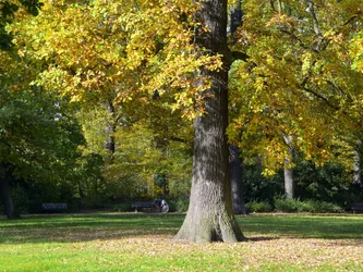 Liste 15 parks in Neukölln Berlin