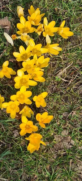 Spielwiese und Liegewiese am Britzer Berg