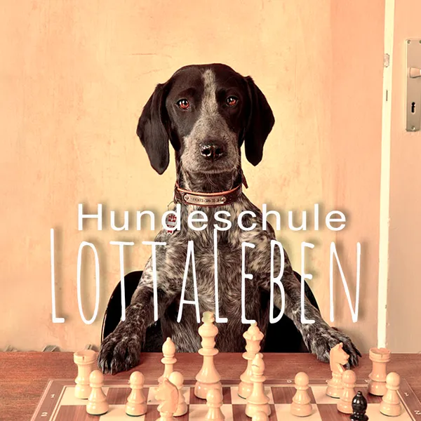 HUNDESCHULE LottaLeben