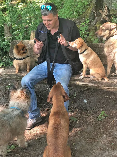 Hundetrainer | Stefan Thal