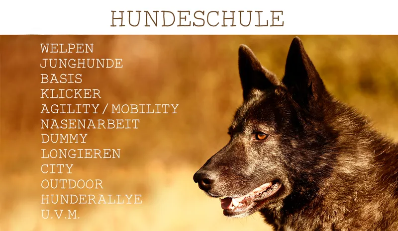 Hundeschule JBo