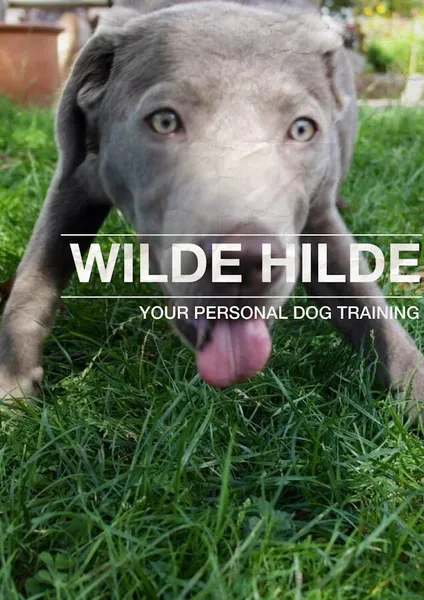 Hundeschule Wilde Hilde