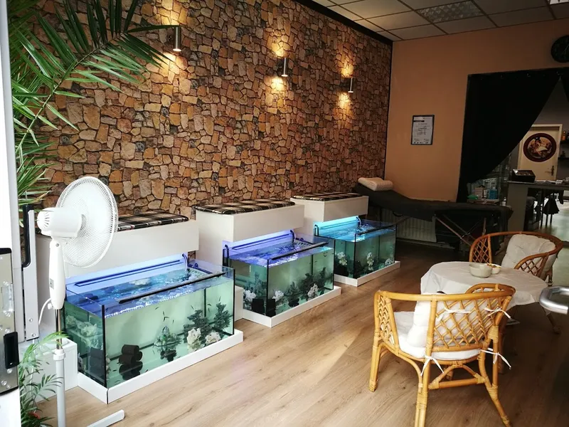 Siggi's Fish-Spa