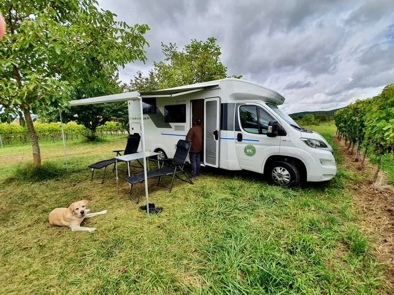 Hundecamper-Vermietung