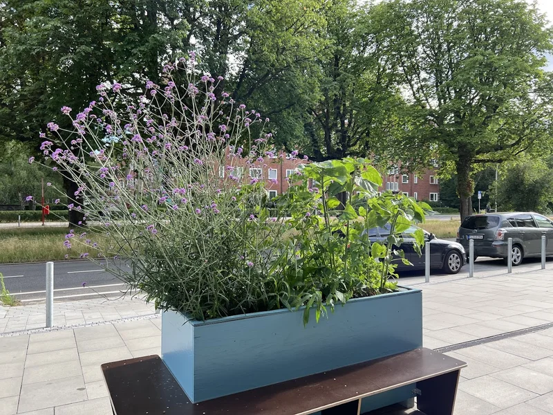 Schmidtchen am Wiesendamm