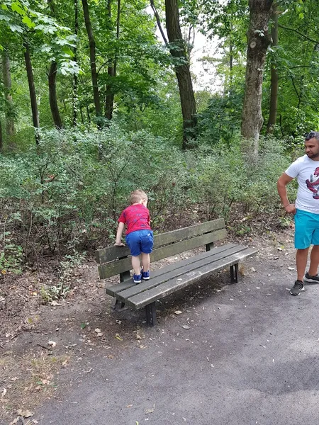 Spielplatz Heinrich-Laehr-Park