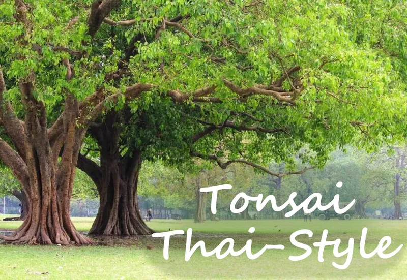 Tonsai Thai-Style