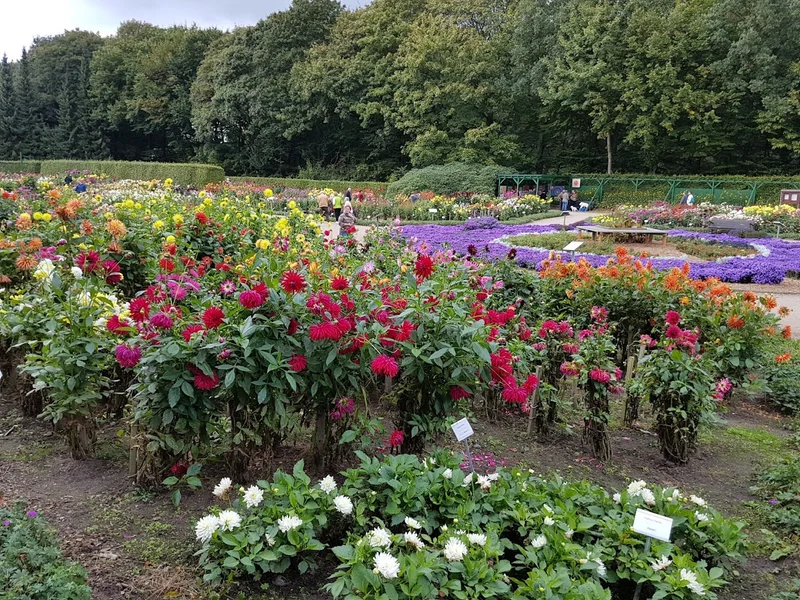 Dahliengarten Hamburg
