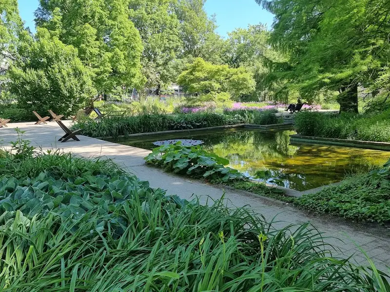 Alter Botanischer Garten