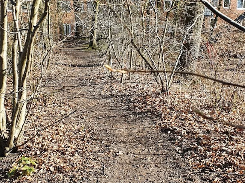 Spielplatz Damerowsweg