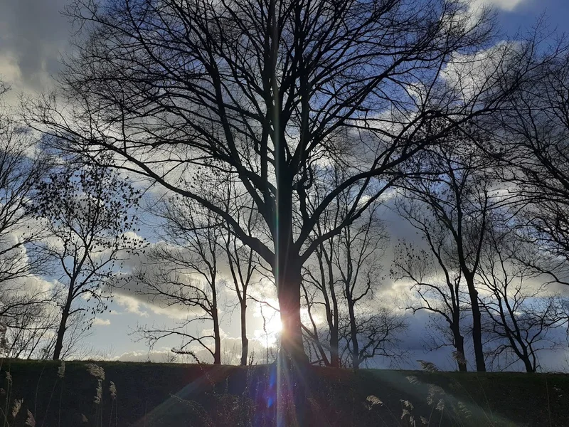 Leuchtfeuer Bunthaus