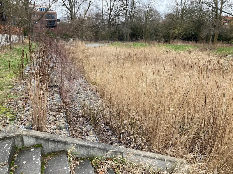 Rückhaltebecken Elfriede-Lohse-Wächtler-Weg
