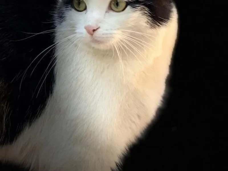 Kleintierpraxis Eimsbüttel