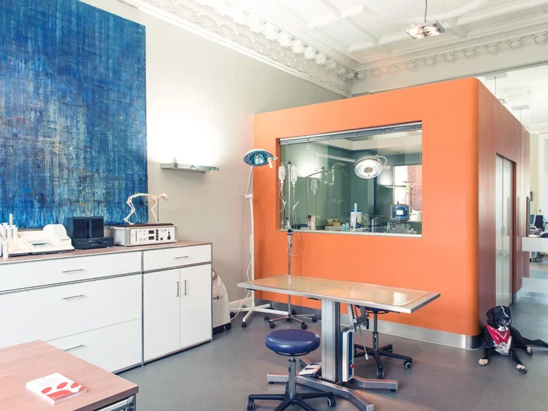 Tiermedizin am Rothenbaum - Tierarzt Hamburg