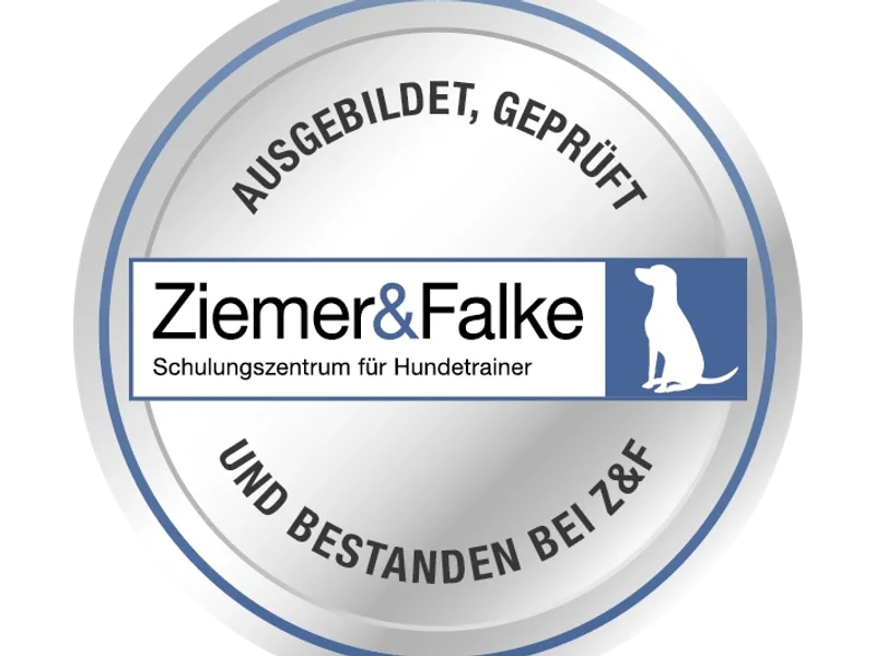 wauwauwow! Hundeschule und Gassiservice