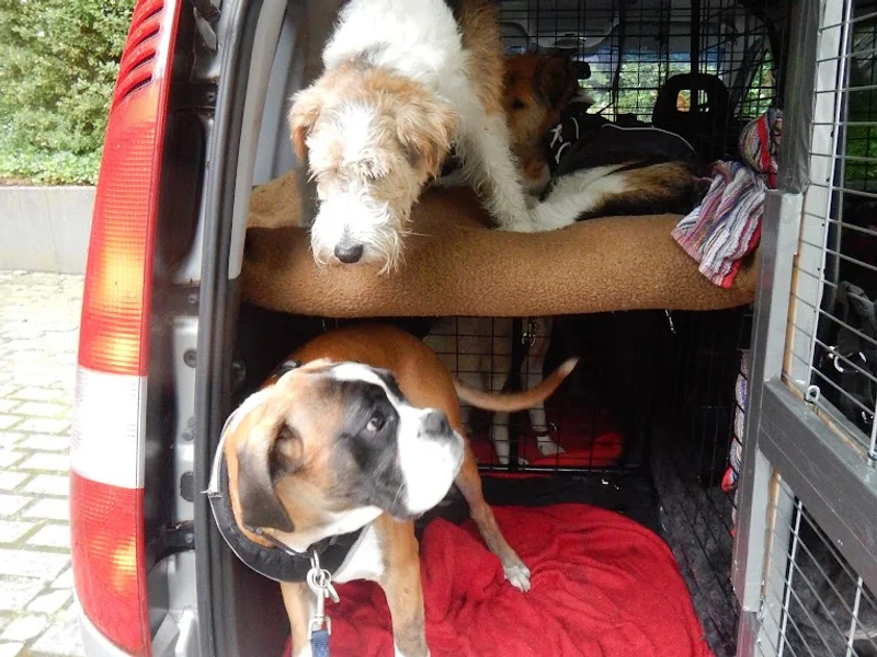 Hundeservice Hamburg Reinhold e.K.