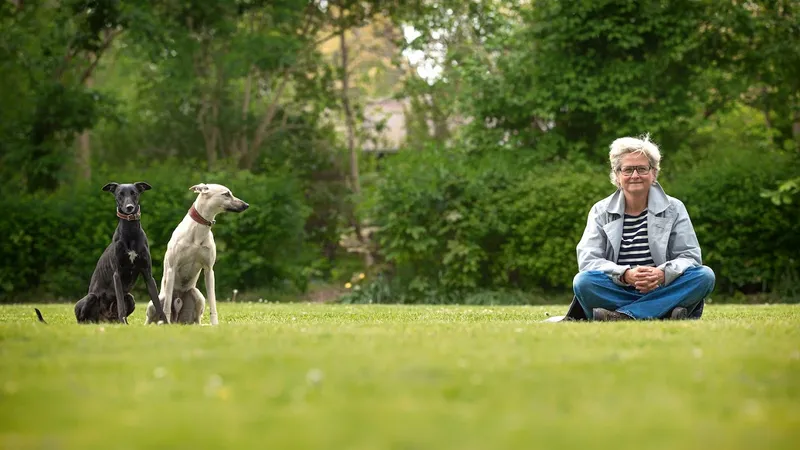 Die Ramelöwin - Hundeschule und Hundetraining