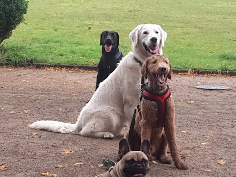 Hundeschule Hundgerecht Hamburg Ute Pollack