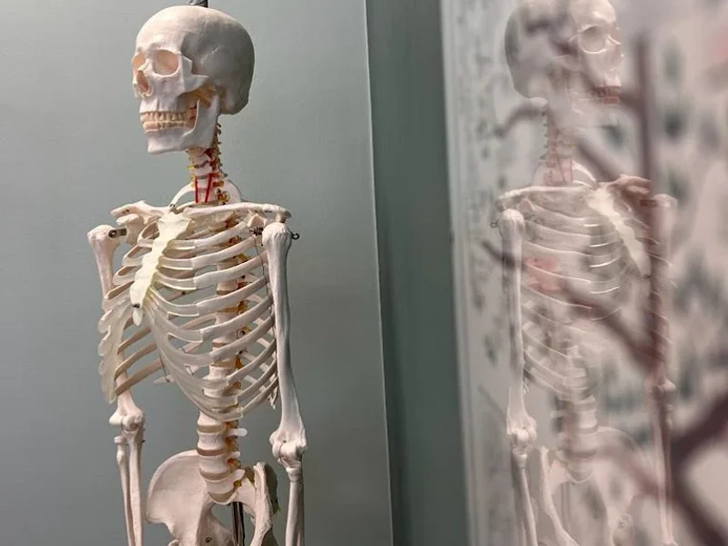 Naturheilpraxis ELIXIER