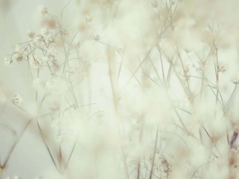 Naturheilpraxis Andrea Tap