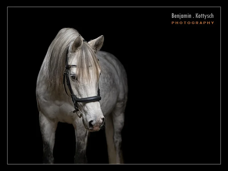 Benjamin Kottysch Photography