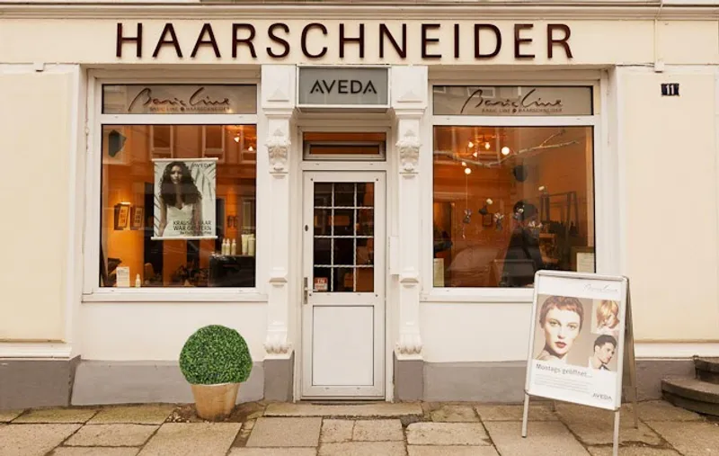 Basic Line Haarschneider