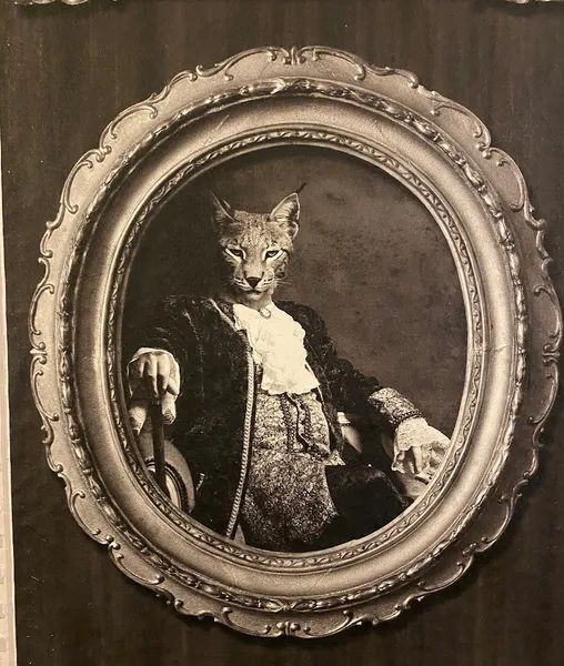 Hip Cats - Vintage Fashion Design & Accessoires