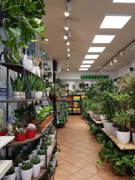 Kögel Pflanzenmarkt e.K.