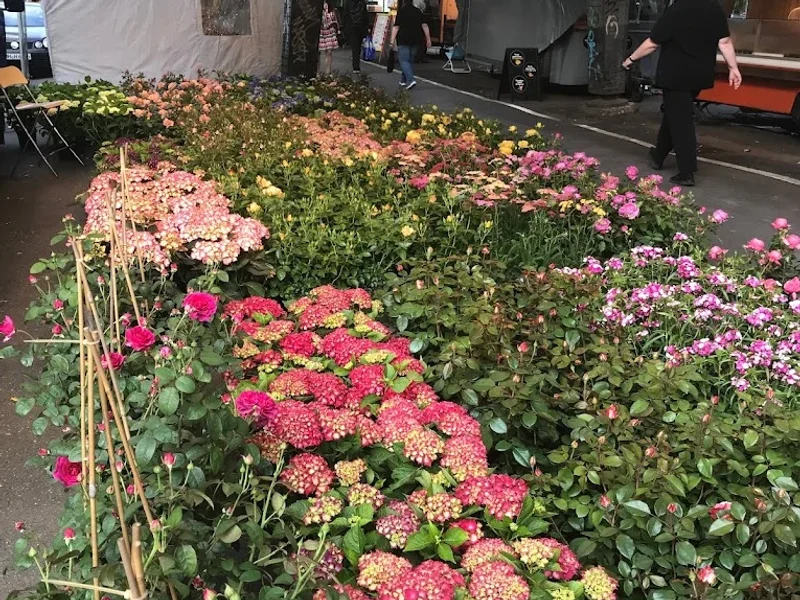 Gartenpflanzen24