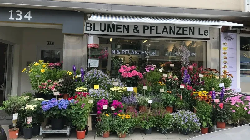 Blumen & Pflanzen Le