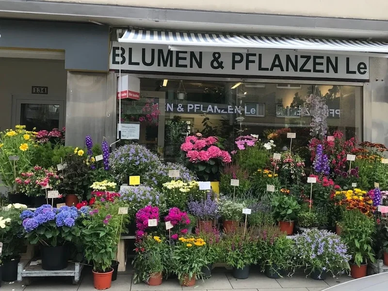 Blumen & Pflanzen Le