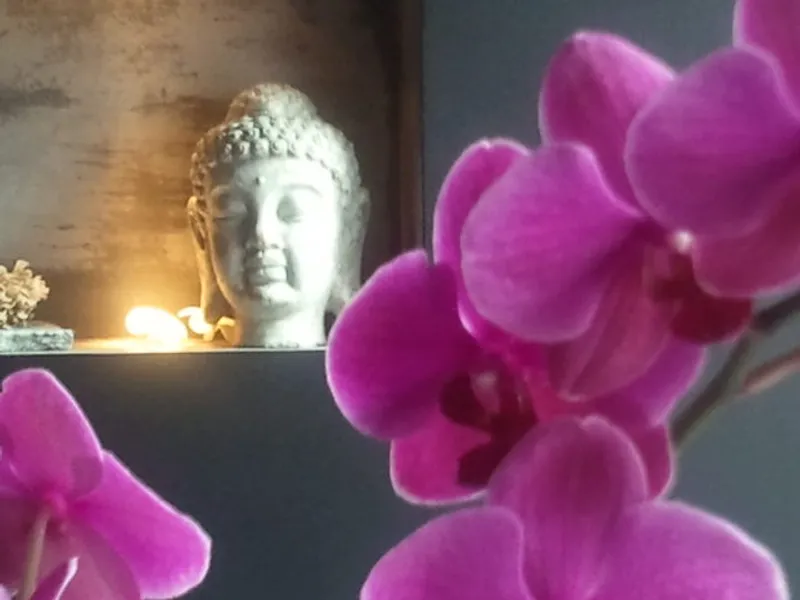 MY THAI SPA Wellness & Thai Massage-Hamburg