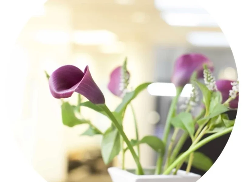 Dr. med. dent. Houtan Shirzadi