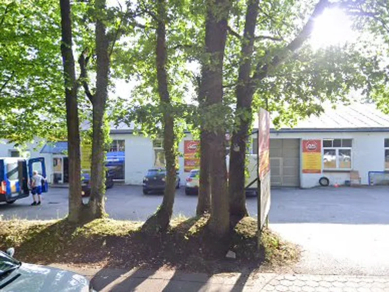 Robert Wanke Automobile