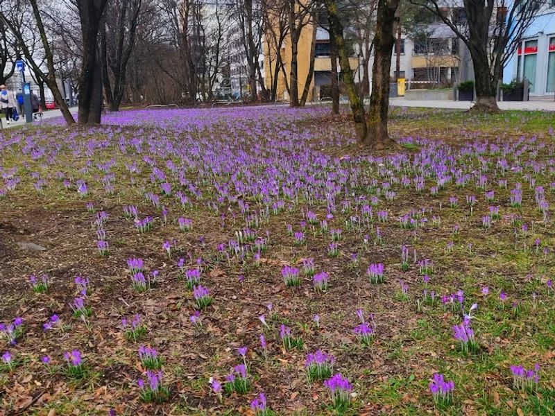Raumausstattung Werner Heibl