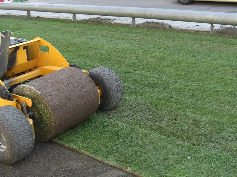 Blumen- und Gartencenter Wolf - Garten- und Landschaftsbau