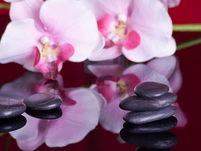 Satori-Wellness-Massagen