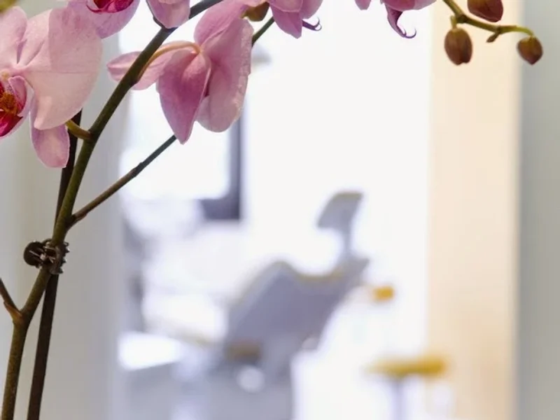 Zahnärztliche Gemeinschaftspraxis Gabriella Gajdos & Csaba Szinte Msc.