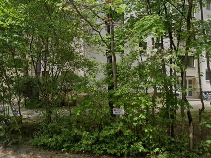 Der-Polster-Reiniger