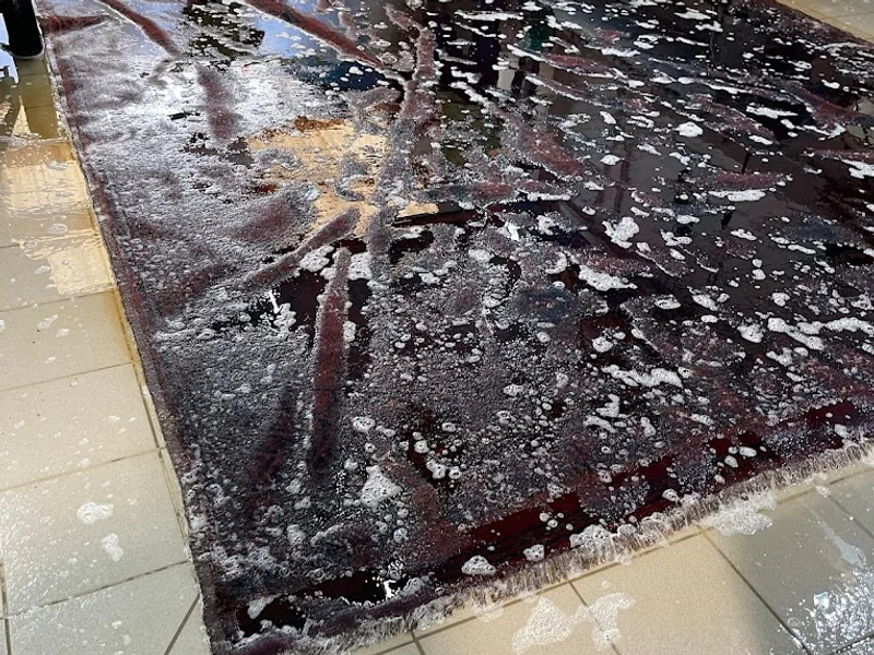 Bio Teppichreinigung München