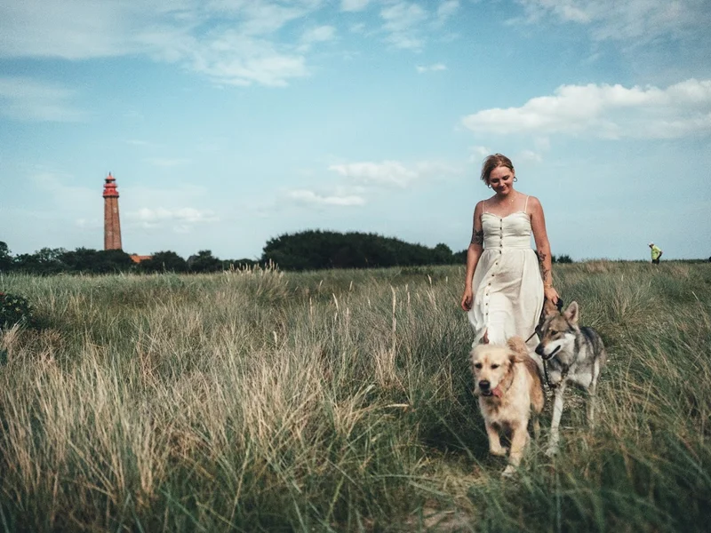 BESSER MIT HUND - kompetente & individuelle Hundeschule in München Ost