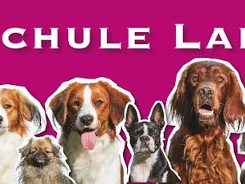 Hundeschule LangeLeine