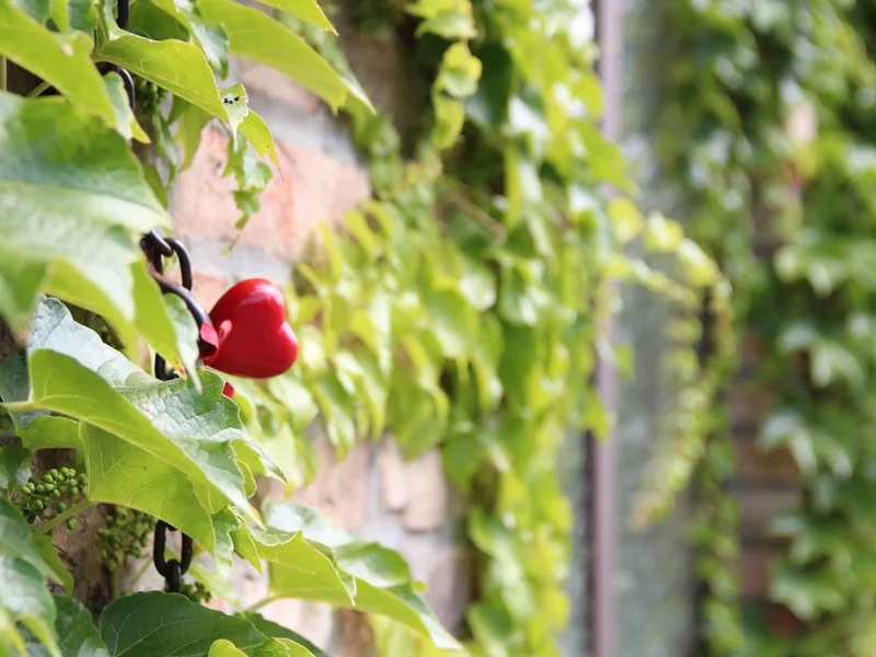 typwes Werbeagentur GmbH