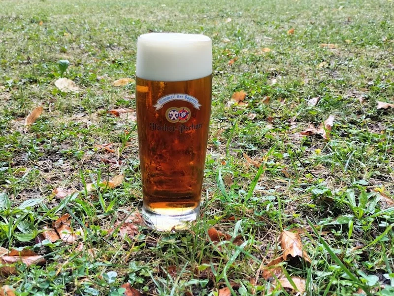 Zur Buche Freimann , Kneipe ,Wirtsgarten, Weingarten ,Restaurant, Kiosk,